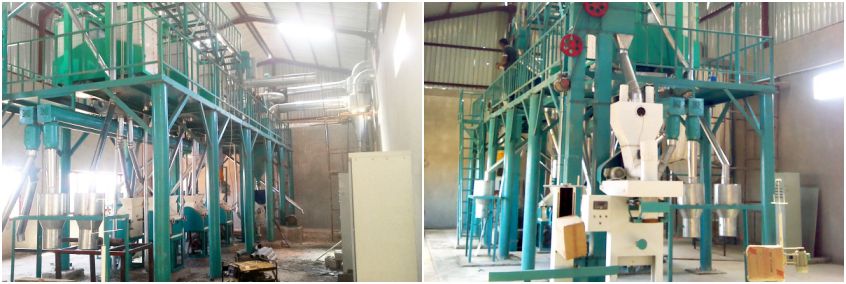 30tpd Maize Flour Processing Plant