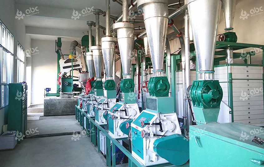 1030TPD Small Scale Wheat Flour Mill Plant for Startups Factory
