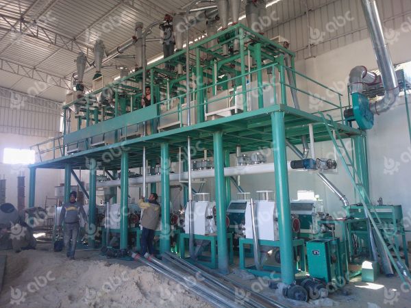 60tpd wheat flour plant in Algeria