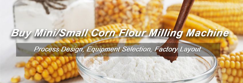 Corn Flour Making for Business
