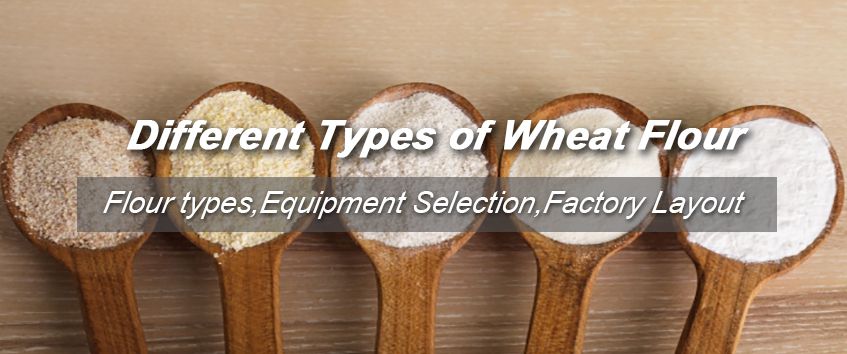 different types of wheat flour