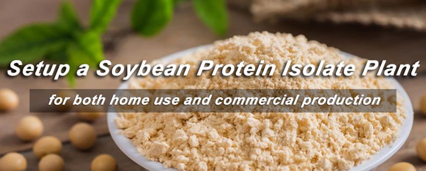 hot sale soybean protein isolate equipment