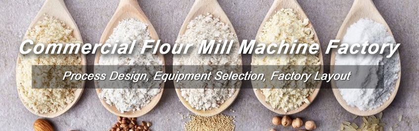 Invest Flour Milling Business