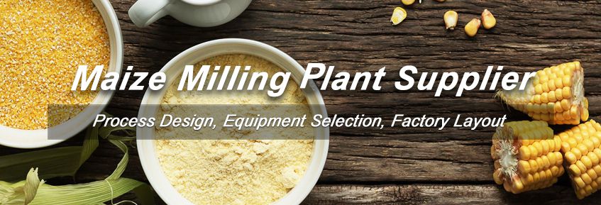 Maize Flour and Grits Milling Business