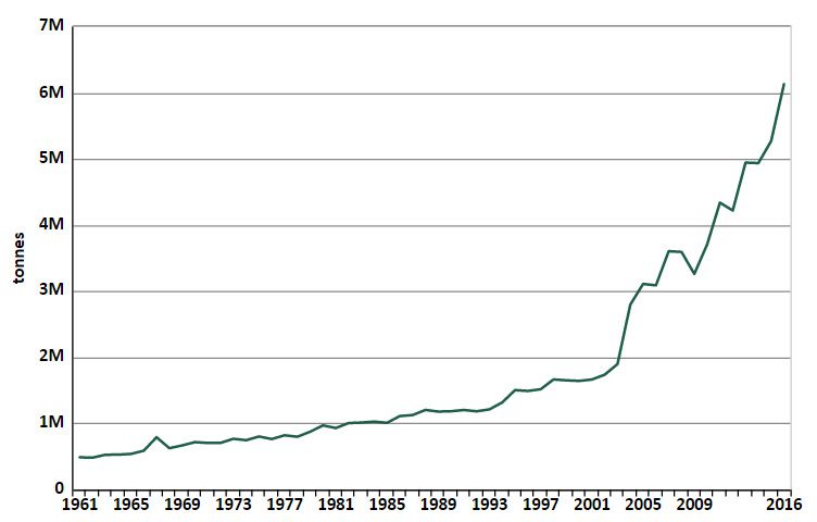 maize production pakistan