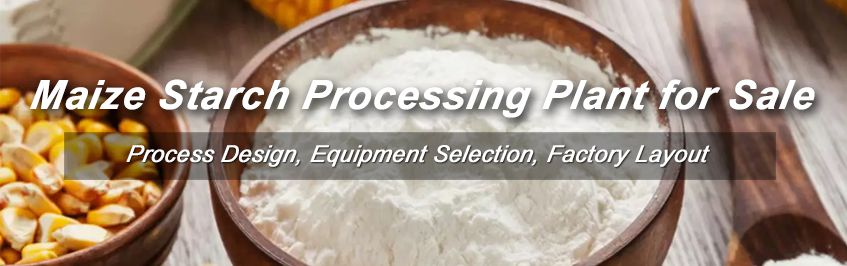 maize starch processing business