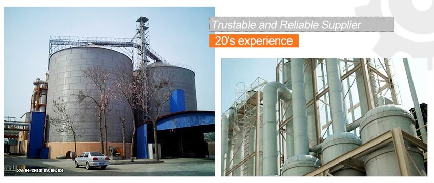 Maize Starch Processing Plant
