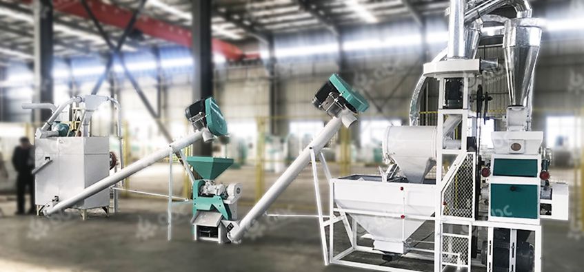 maize processing plant cost