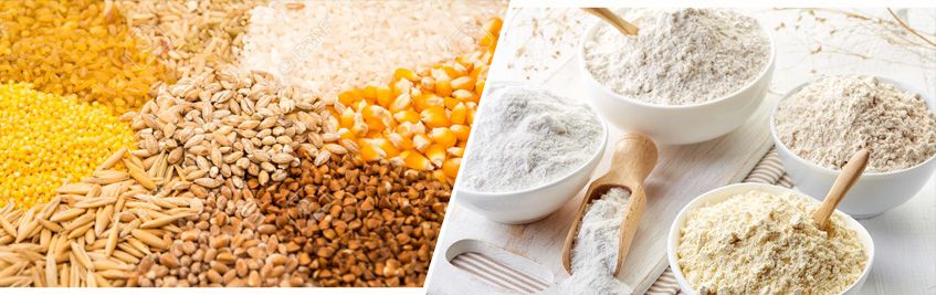 Start a Small Wheat/Maize Milling Business