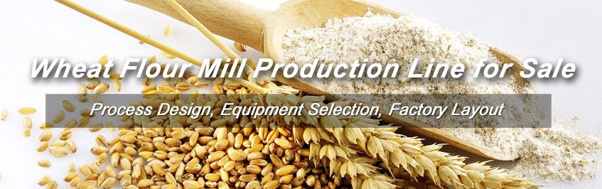 Start Wheat Flour Production Business