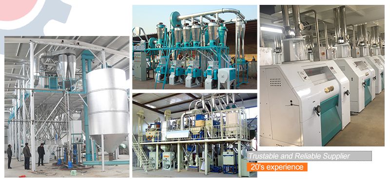 low cost wheat flour mill project setup by ABC Machinery