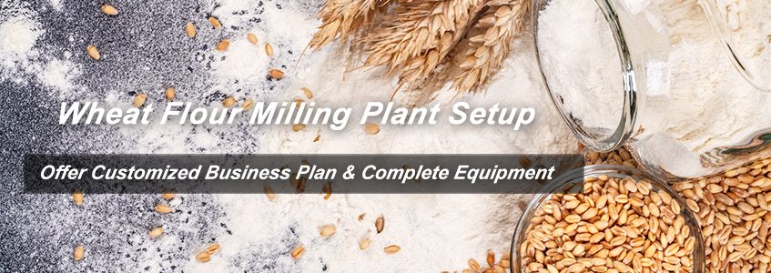 wheat flour milling process for wheat flour milling business