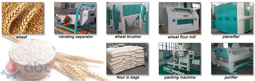 wheat milling process and equipment for wheat flour production