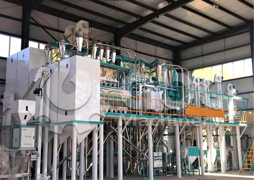 maize flour mill process design solutions