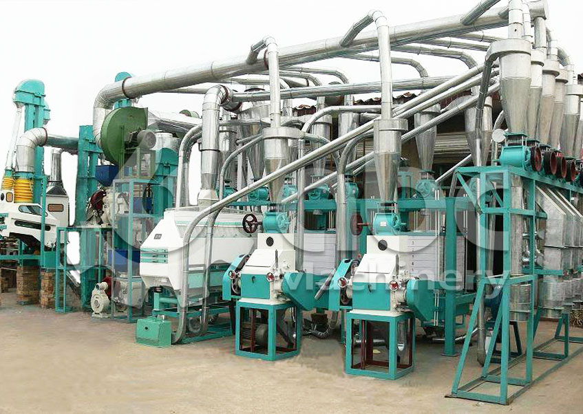 small maize mill business staring guide