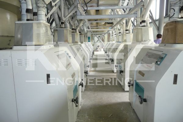 160tpd wheat flour milling part