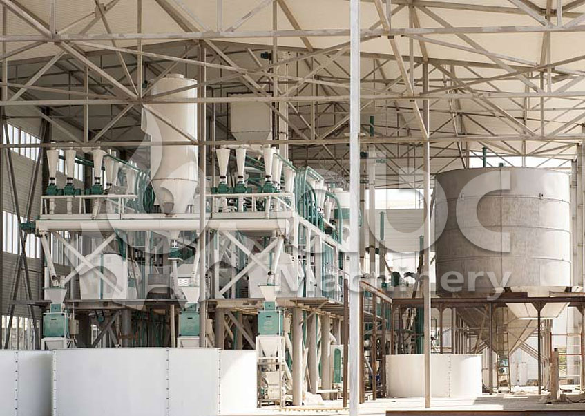 cost of setup a maize mill plant in nigeria