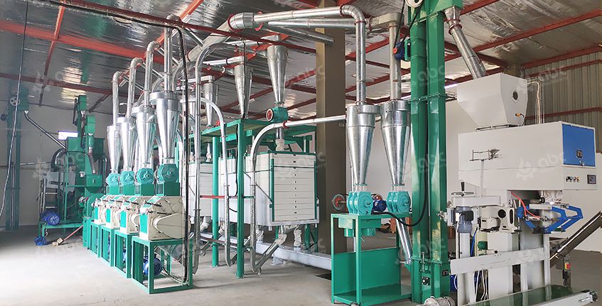 20T Maize Milling Plant