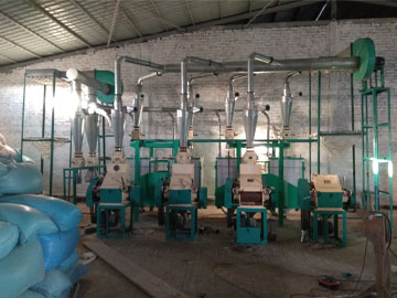 30TPD Maize Flour Milling Plant Setup in Chad