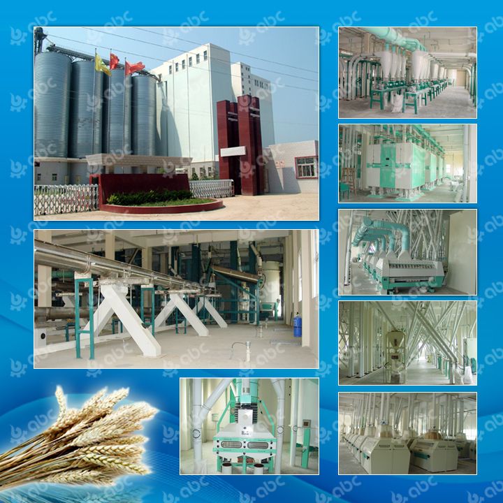 500tpd wheat flour plant