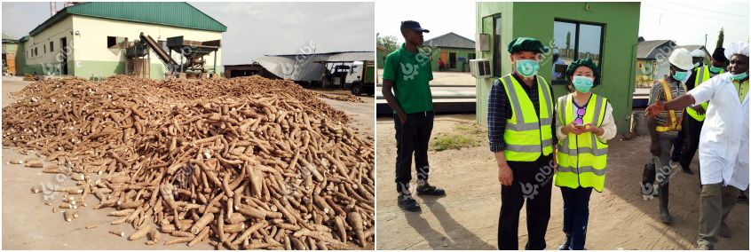 Nigerian cassava processing customer visits