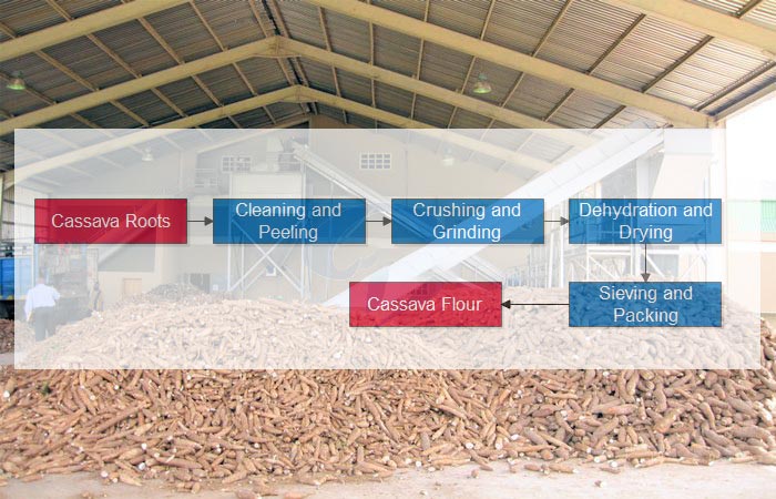 how to process cassava into flour