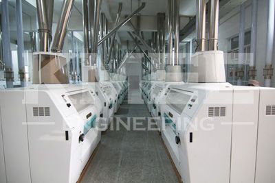 complete wheat flour mill plant