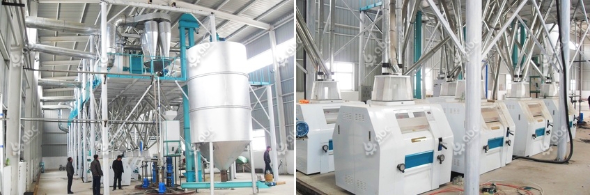 Successful corn mill engineering project showing optimized building and ventilation design