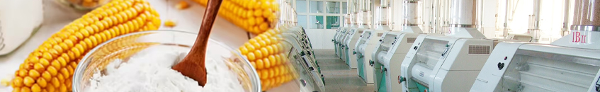 Modern Corn Mill Plant Engineering & Setup