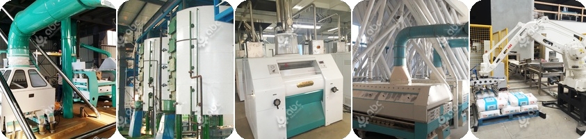 corn processing plant cost