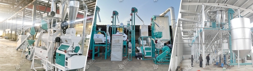 Successful small and commercial corn milling plant case with optimized logistics and infrastructure