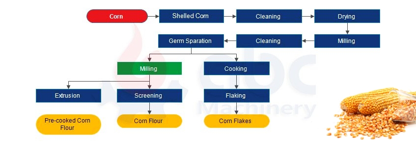 maize corn flour and byproduct milling process steps