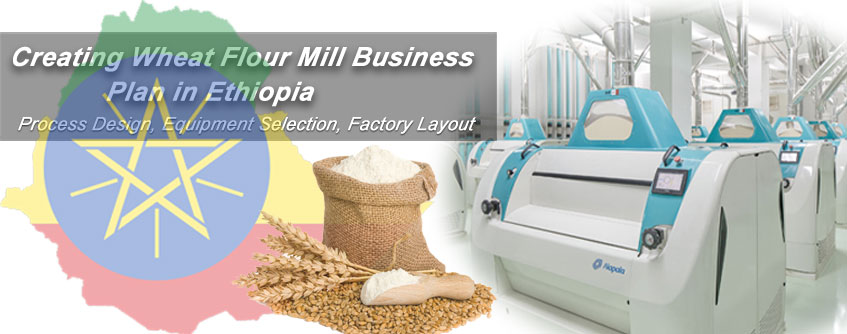 whea flour mill machinery price cost in ethiopia
