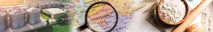 Pakistan Flour Mill Startup Guide