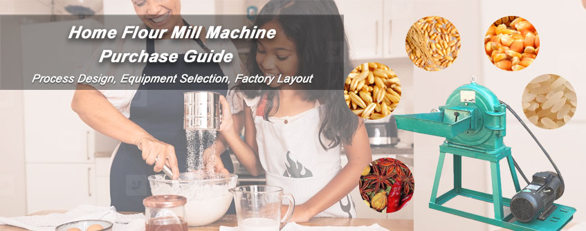 Blog - What to Know before Purchasing a Grain Mill/Flour Mill