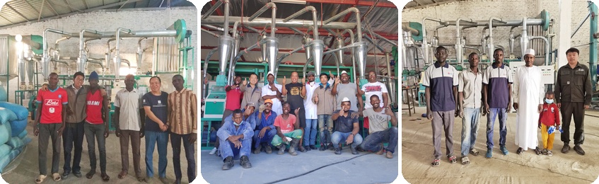 abc machinery flour mill project report in africa