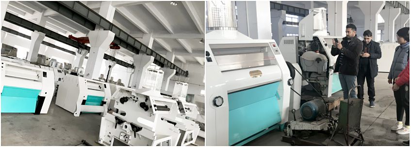 flour mill machine supplier