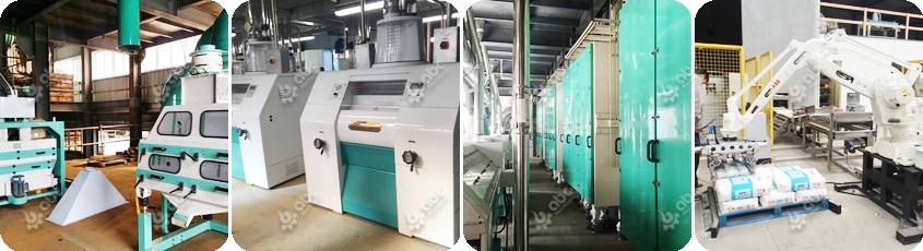 wheat milling process in modern flour factory