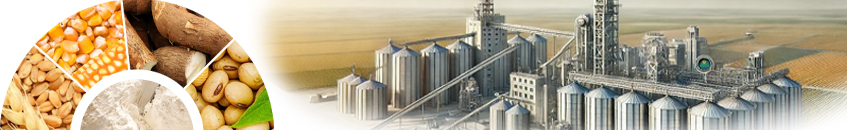 Smart Grain Mill Solutions for Every Types