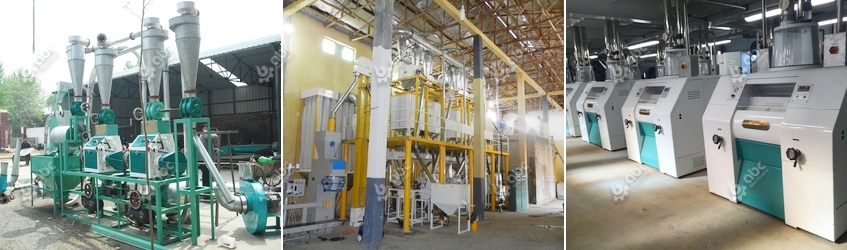 small flour mill plant setup cost