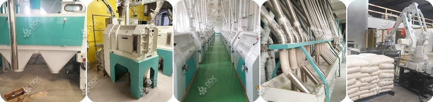 corn flour mill machine cost