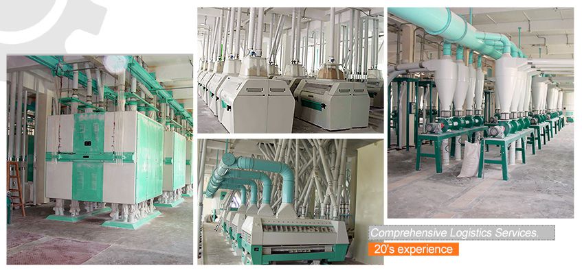 Large Automatic Flour Mill Plant