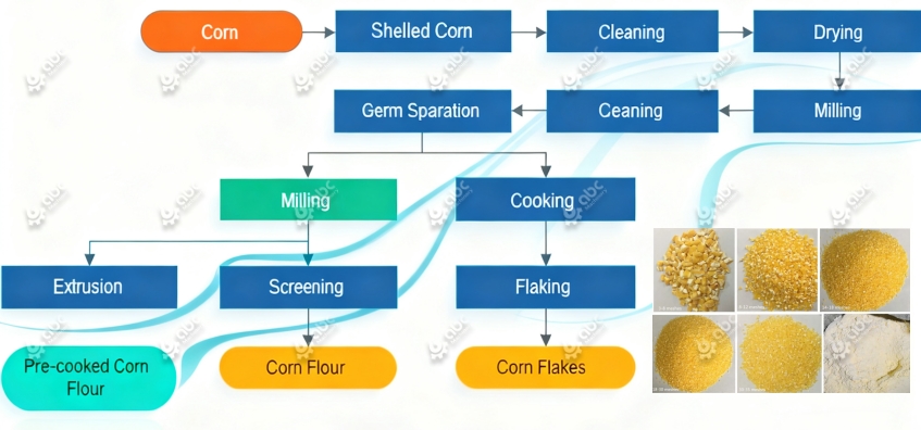 Detailed corn milling process flow diagram from cleaning, de-germination to packaging