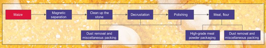 Maize Flour mill process