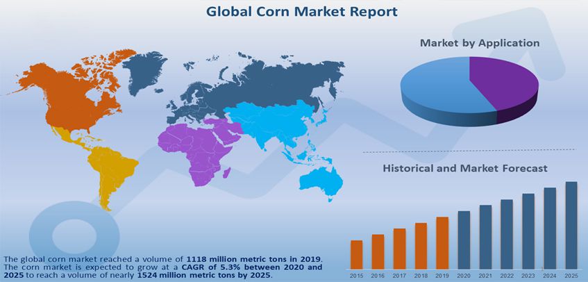  Maize Milling Industry