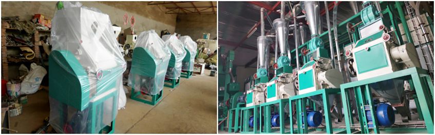 Maize Milling Machine Plant Supplier