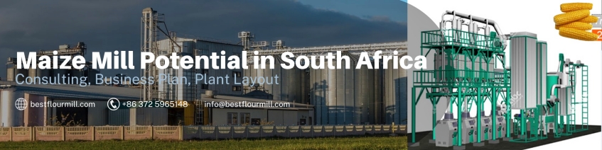 maize mill plant setup steps in south africa