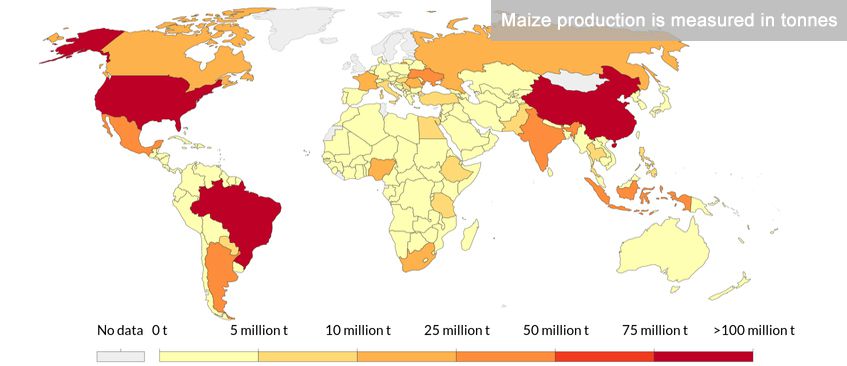 Maize Production Countries