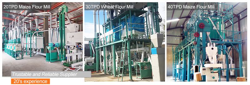 Maize/Wheat Flour Milling Plant