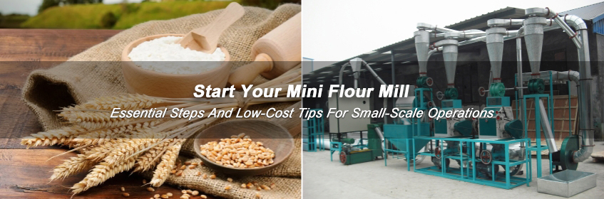 Mini flour mill business setup Pakistan, low-cost small plant promotion